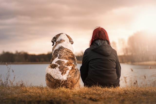 Probiotica voor honden: het geheim voor een gezonde darmflora